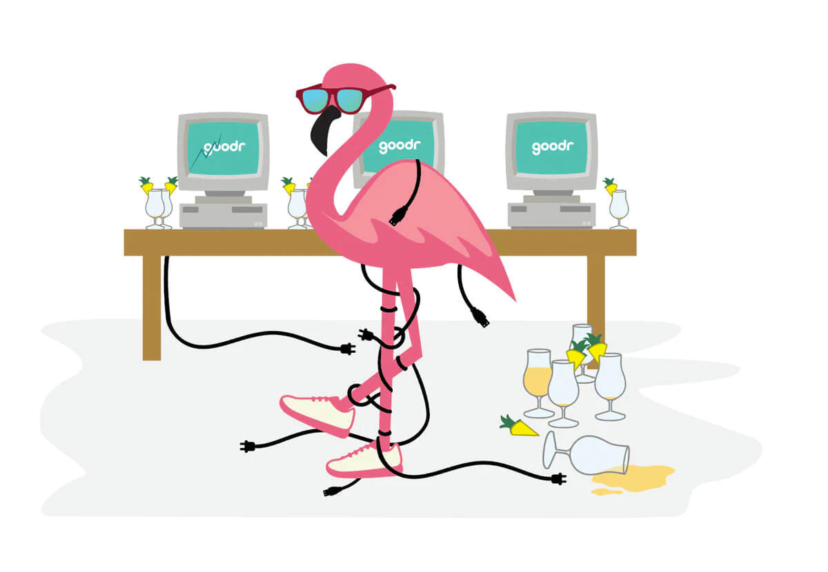 Carl the flamingo at the computer